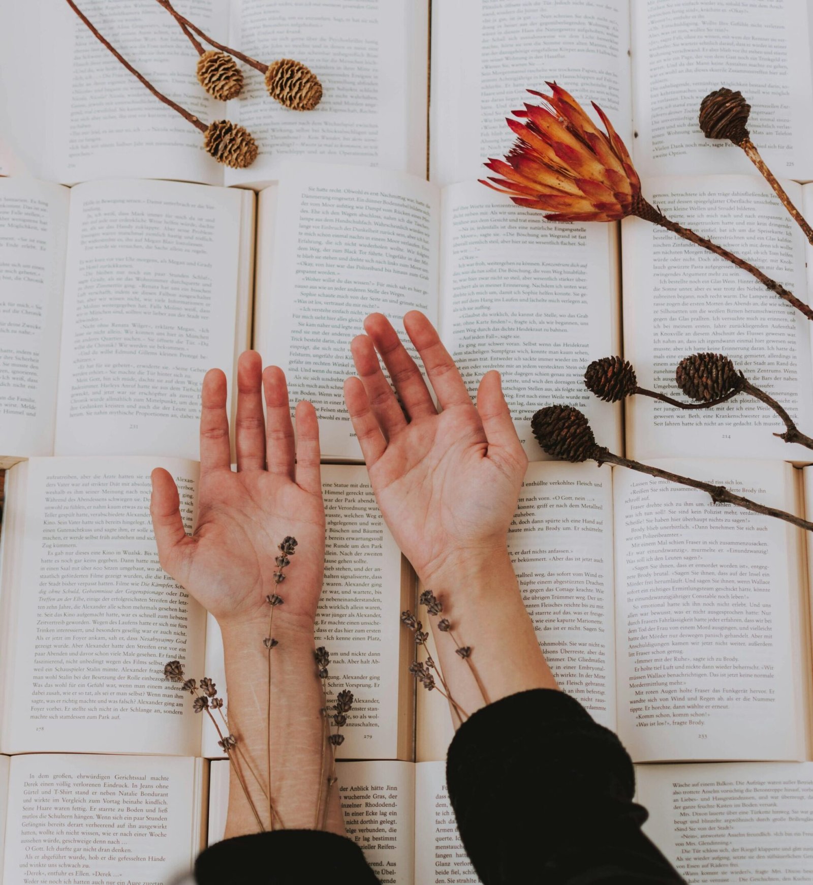 A creative composition of open books, hands, and dried flowers conveying knowledge and nature's art.